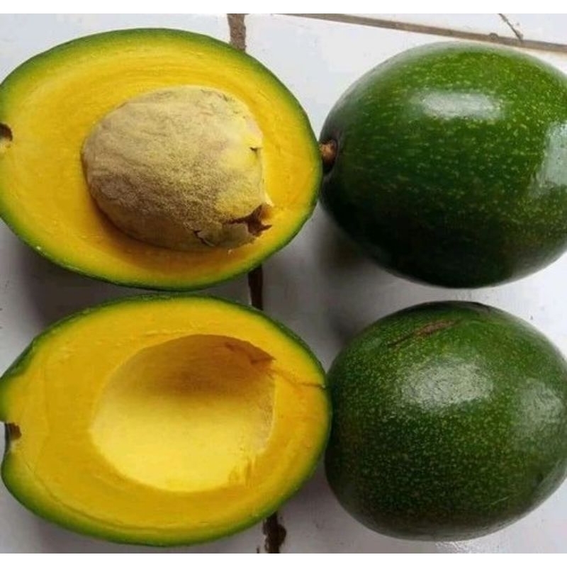 Jual ALPUKAT MIKI 1KG/ALPUKAT MENTEGA MIKI/ALPUKAT MIKI 1KG FRESH