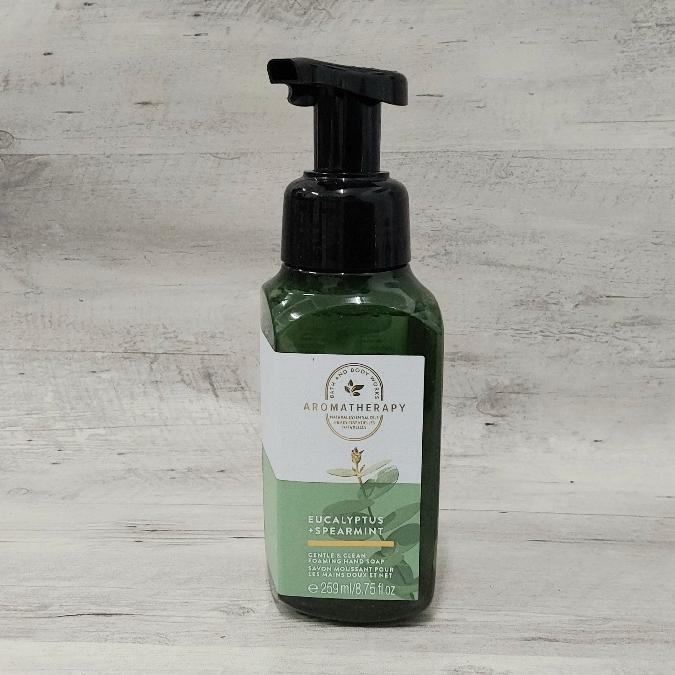 Jual BATH AND BODY WORKS GENTLE FOAMING HAND SOAP EUCALYPTUS SPEARMINT ...