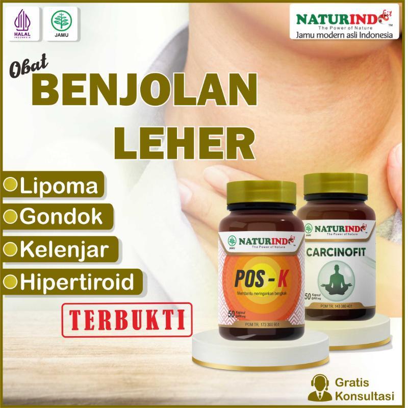 Jual Obat Benjolan Di Leher Kelenjar Tiroid Lipoma Gondok Kelenjar ...