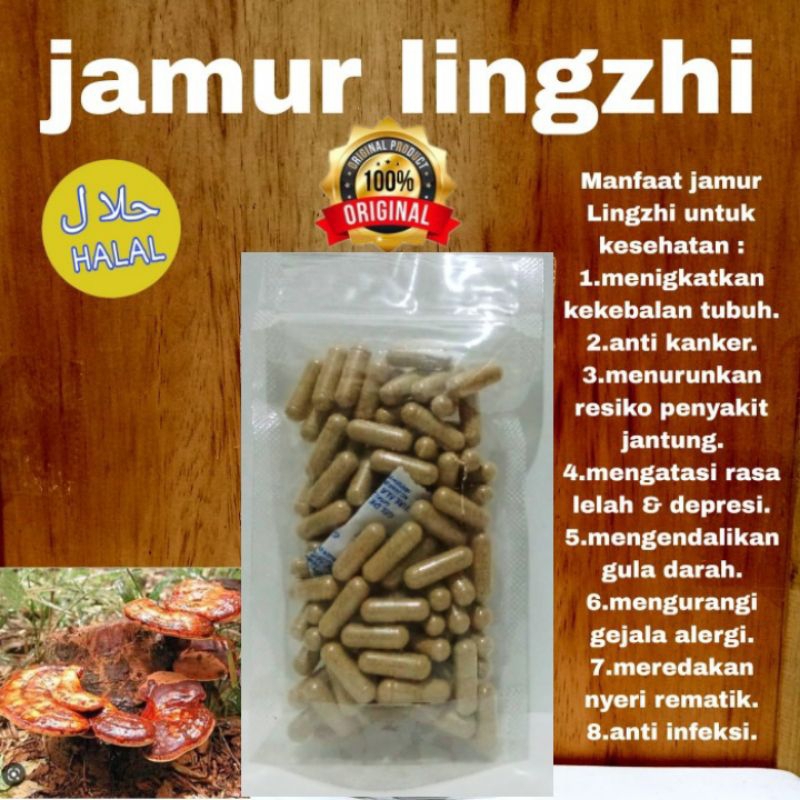 Jual kapsul curah jamur Lingzhi original isi100kekebalantubuh