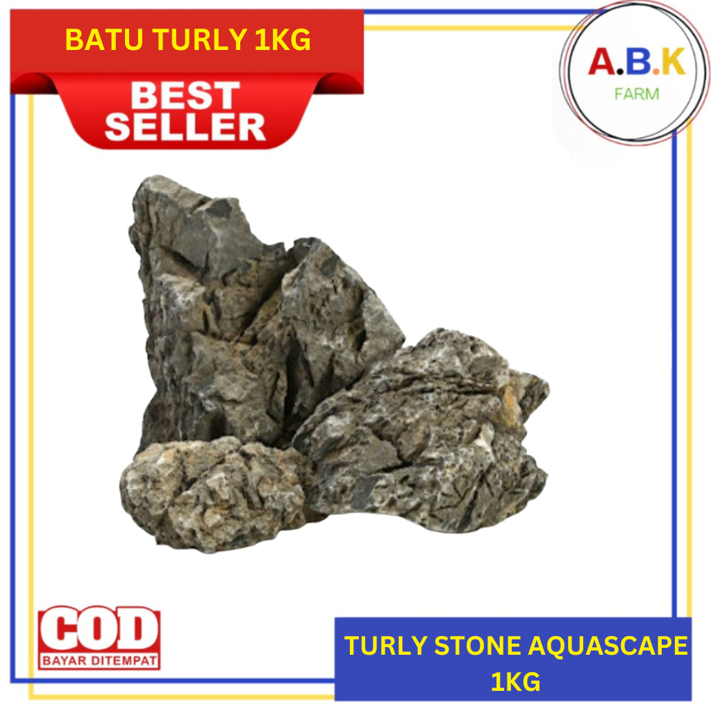 Jual BATU TURLI ECER 1KG batu aquascape turly stone batu hias dekorasi ...