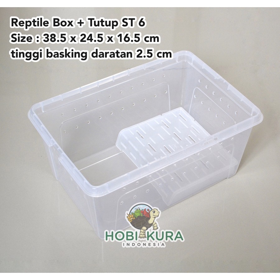Jual Reptile Box XL ST6 Kotak Kandang Kura Gecko Ular Kodok Pacman ...