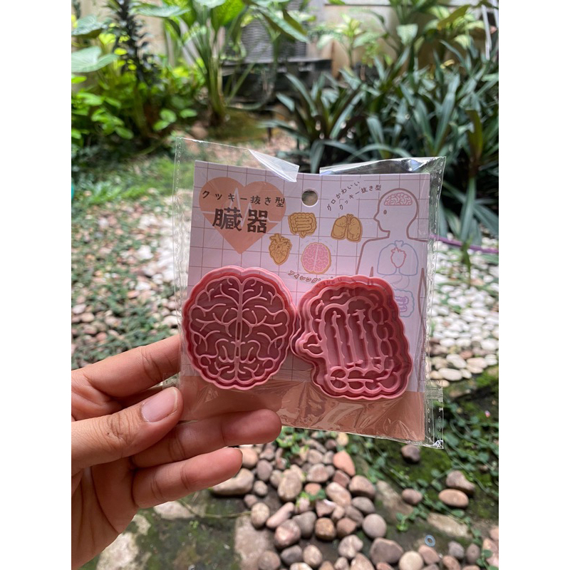 Jual brain cutter / bento / lunch box | Shopee Indonesia