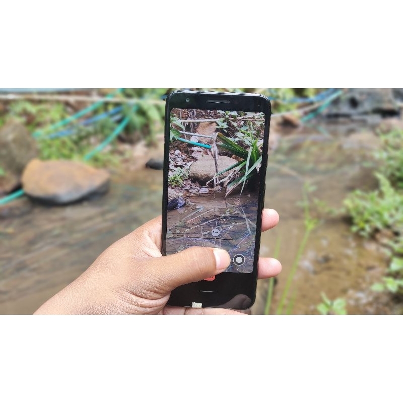 Jual Pixel 3a Jnt Only Shopee Indonesia