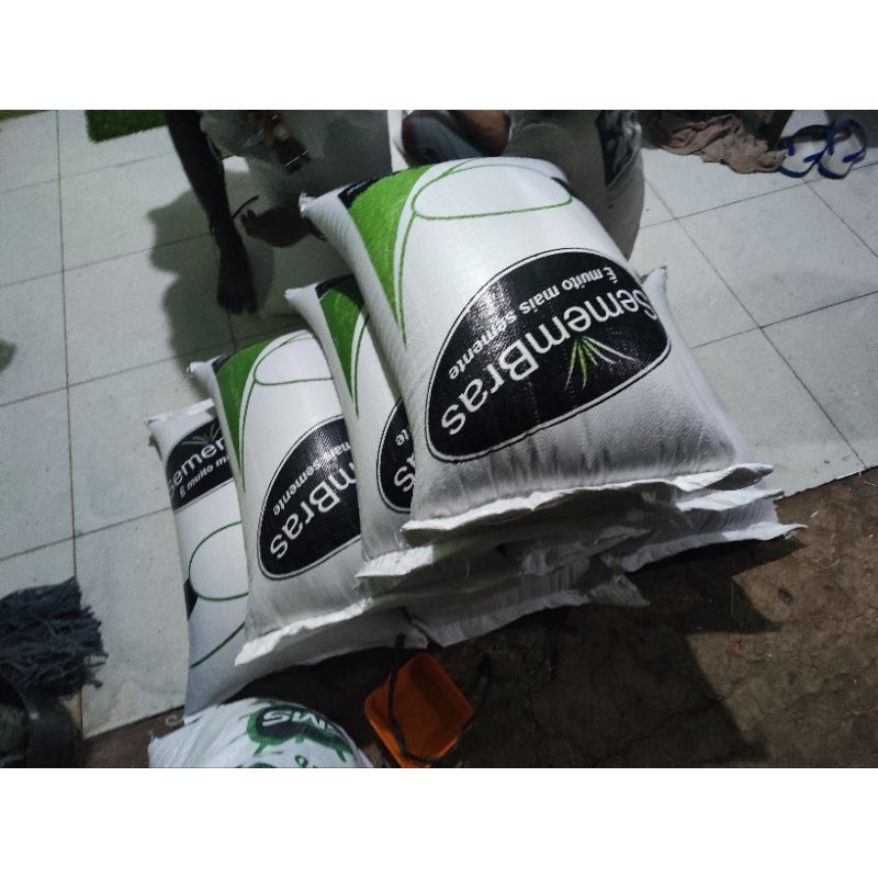 Jual GRASS SEED BRACHIARIA HUMIDICOLA HYBRID Biji rumput penghijauan