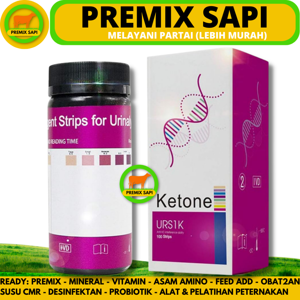 Jual KETONE TEST URINE ISI 100 STRIP - Alat Tes Keton Urin Keto Manusia ...