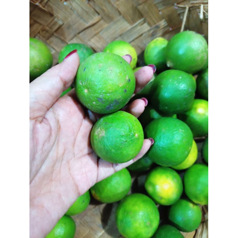 Jual jeruk nipis Segar 100gr | Shopee Indonesia