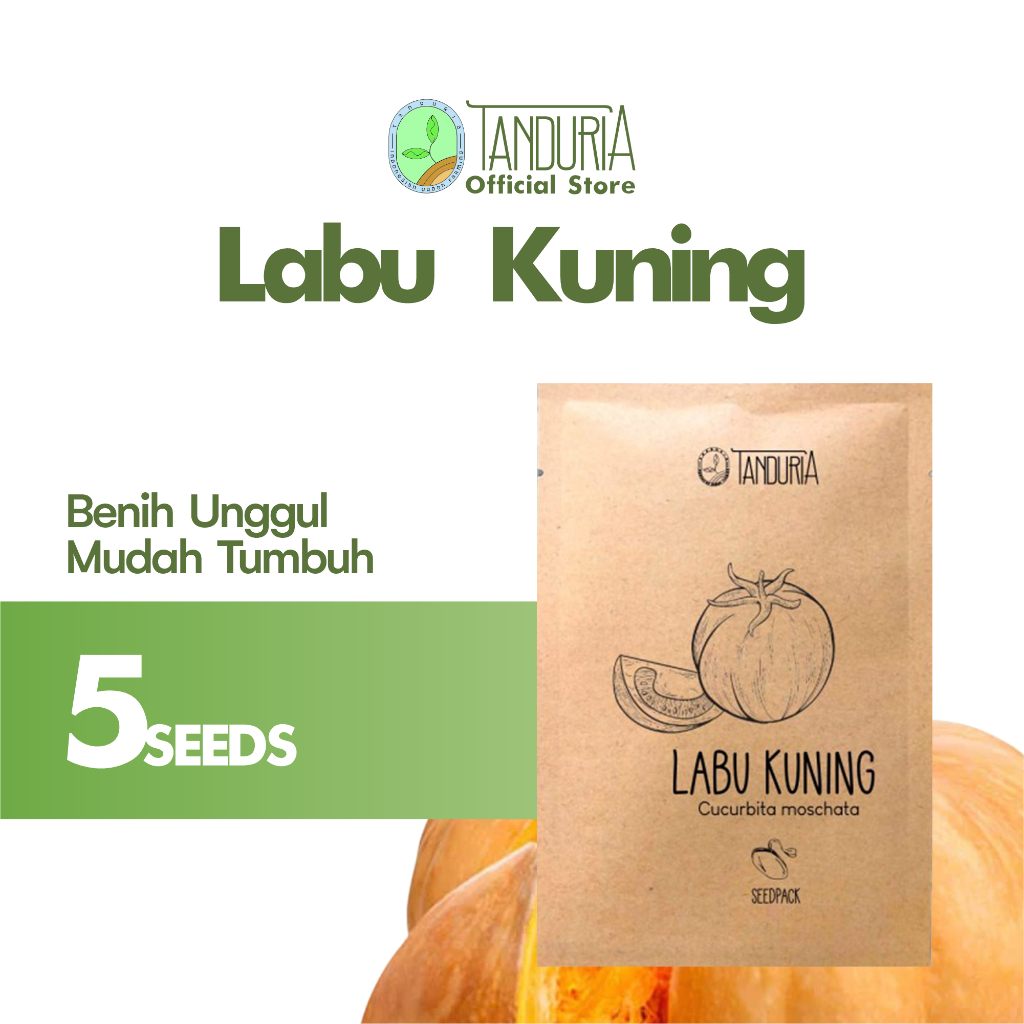 Jual Tanduria Benih Labu Kuning Bibit Labu Waluh Waloh Madu Manis