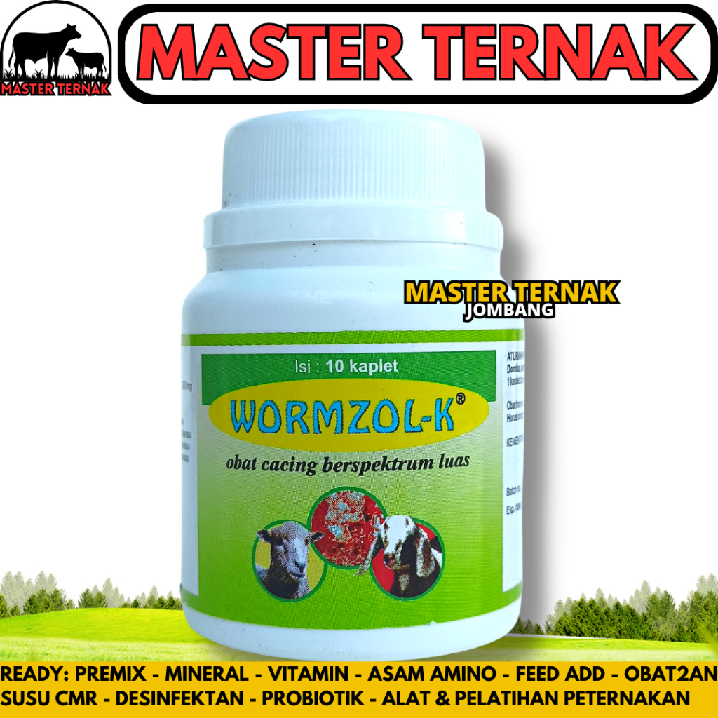 Jual WORMZOL K 10 KAPLET MEDION - Obat Cacing Kambing Domba Babi Anjing ...