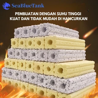 Produk SEA BLUE TANK | Shopee Indonesia