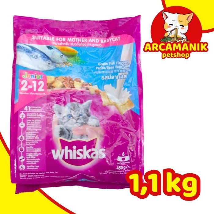 Jual Whiskas Junior ocean fish 1,1kg Shopee Indonesia