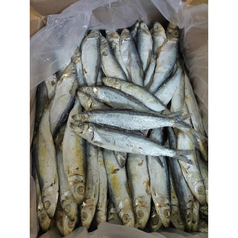 Jual IKAN ASIN JAPUH ISI 1KG | Shopee Indonesia