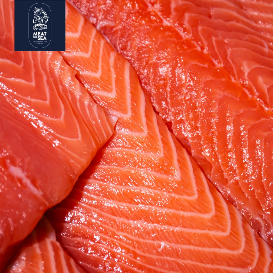 Jual Ikan Salmon Premium Fillet Fresh Sashimi Grade Sashimi Sushi