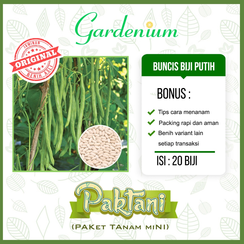 20 Benih Buncis Biji Putih Sayuran Unggul Paktani