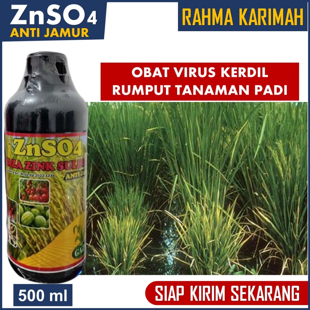 Jual PUPUK SEMPROT ORGANIK Perlindungan Tanaman Padi dari Virus Kerdil ...