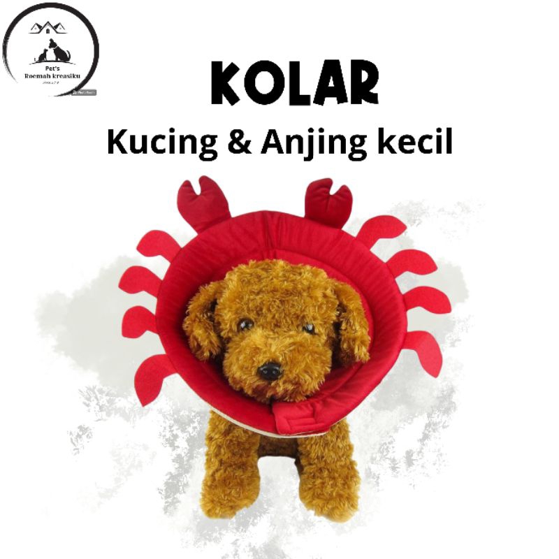 Jual colar kucing bentuk animal'# colar murah# kolar kucing | Shopee ...