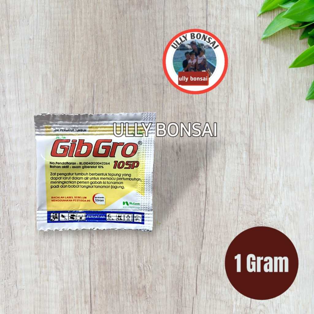 Jual Pupuk Gibgro 10 SP ZPT Padi Gabah Jagung Kemasan Pabrik 1 Gram ...