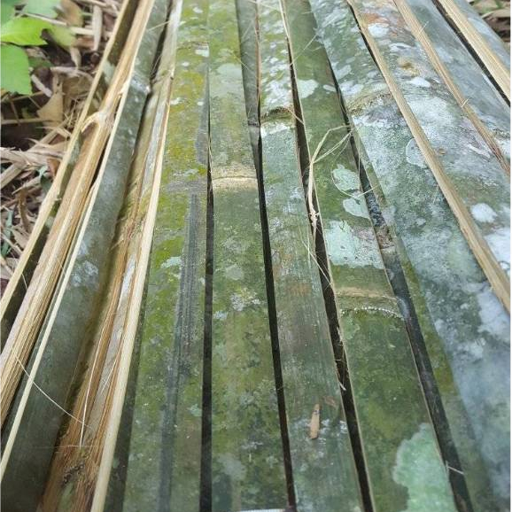 Jual bilah bambu ajir turus tanaman rambat ukuran 50cm siap pakai ...