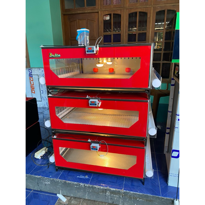 Jual Brooder penghangat anak ayam. | Shopee Indonesia