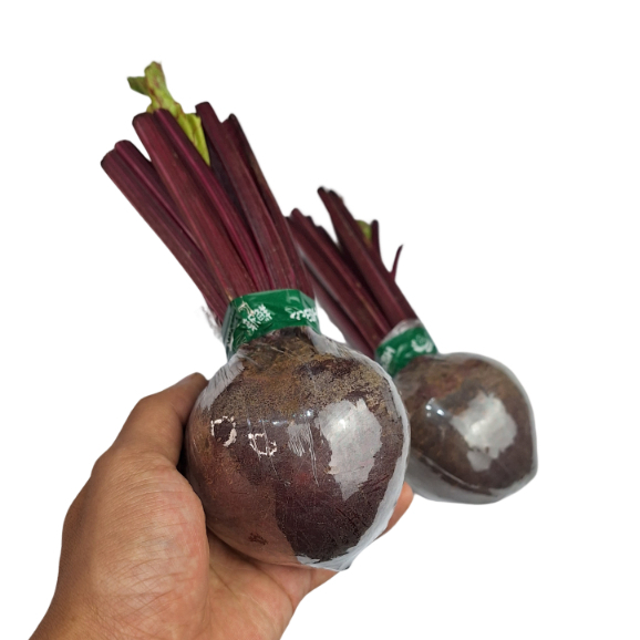Jual BEETROOT UKURAN MINI (PROMO) | Shopee Indonesia