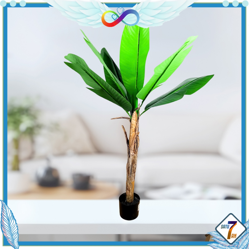 Jual Pohon Hiasan Ruangan Tinggi 1,3 Meter Pohon Pisang Pot Tanaman
