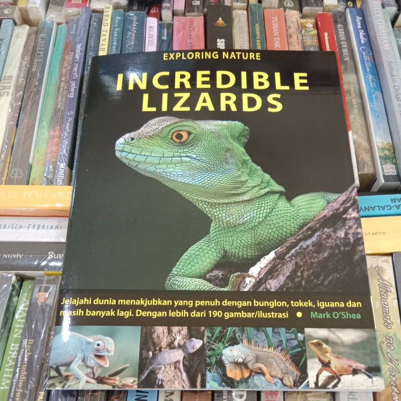 Incredible Lizards- New Holland Publishing main image 0