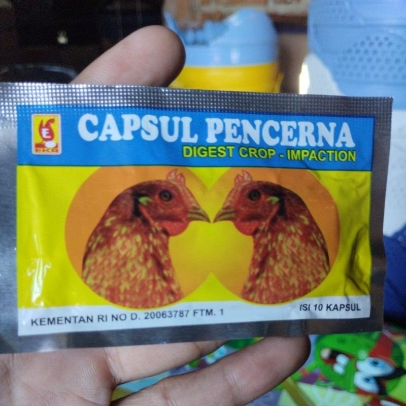 Jual capsul kapsul pencerna ayam untuk malasah pencernaan tembolok ...