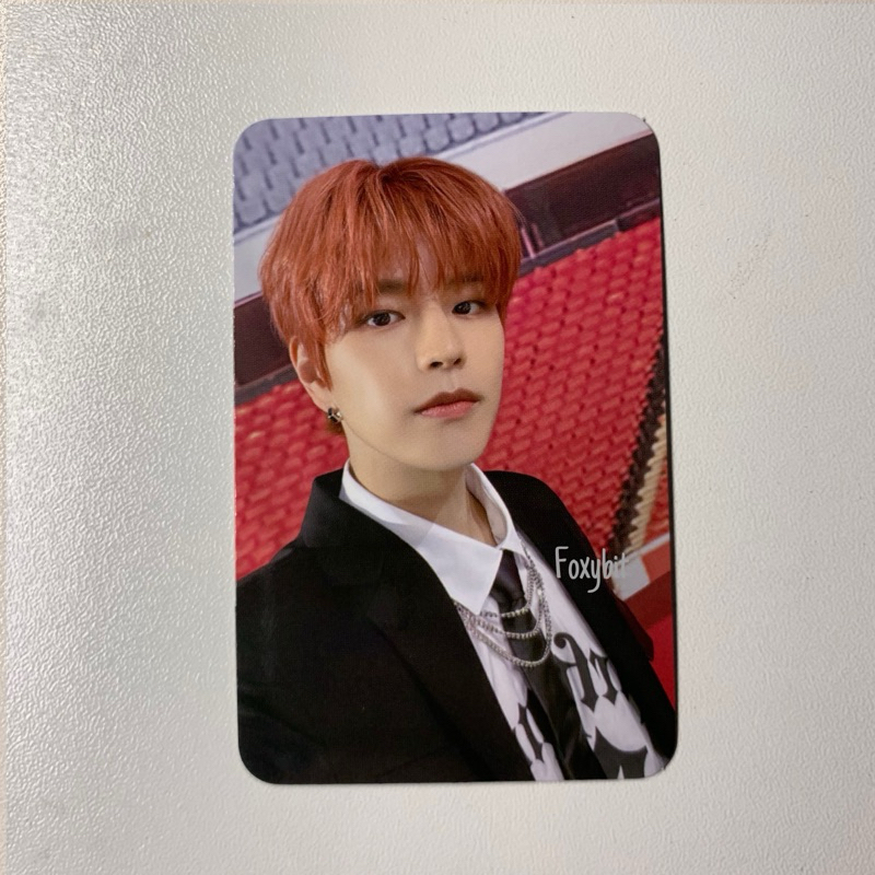8pcs Bangchan 5-Star Dome Tour コンプ スキズ