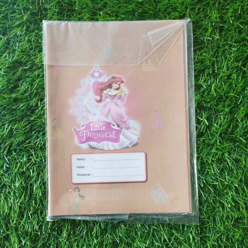 Jual Sampul Buku Nama Coklat Gambar Quarto Princess (isi 20 Lembar ...