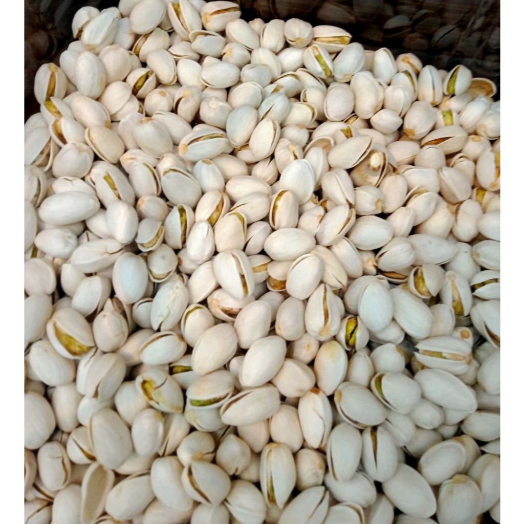 Jual Kacang Pistachio Snack Sehat Kacang Fustuk Oleh-Oleh Haji Umroh ...