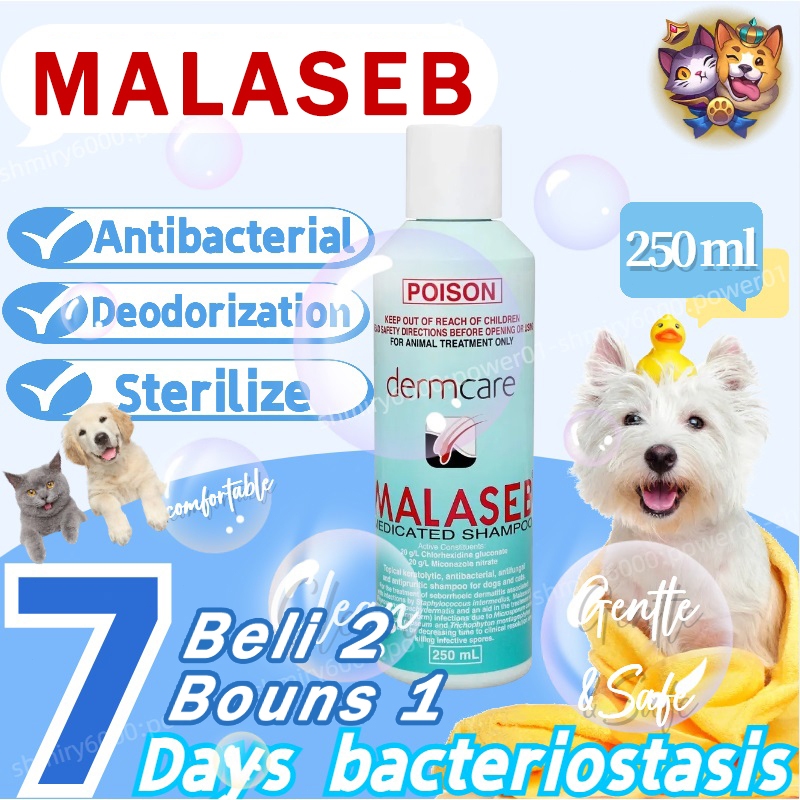 Jual 250ml Malaseb Dermcare Medicated Hewan Shampoo Anti Jamur Fungal