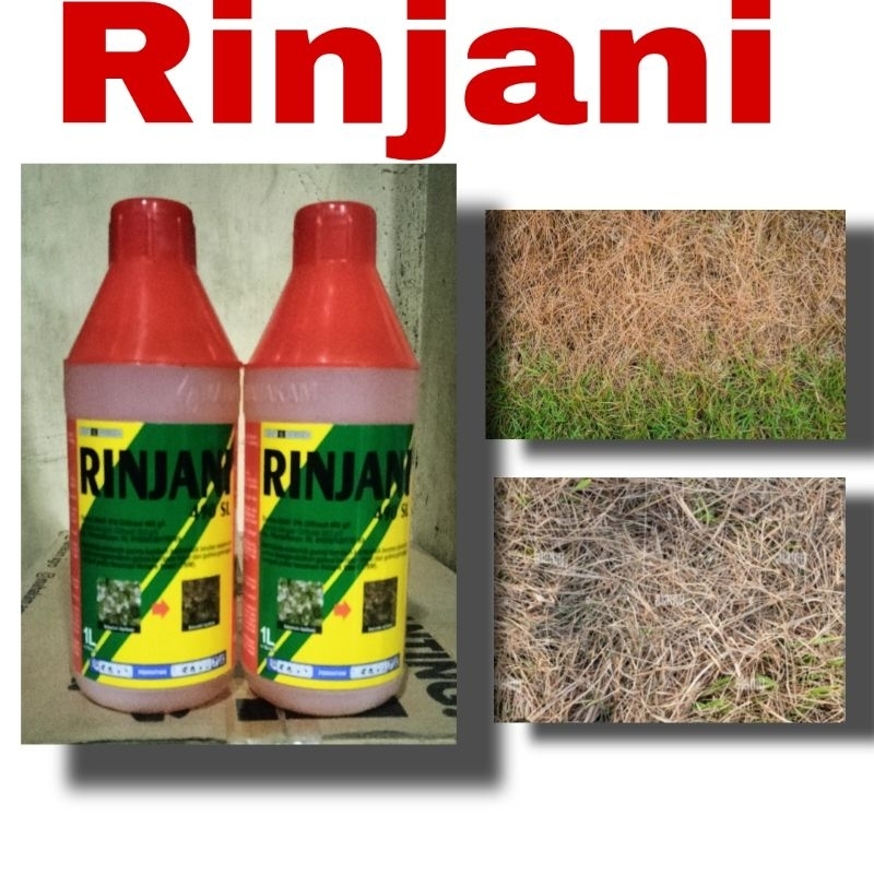 Jual Herbisida Obat pembasmi rumput RINJANI 490 SL 1 liter | Shopee ...