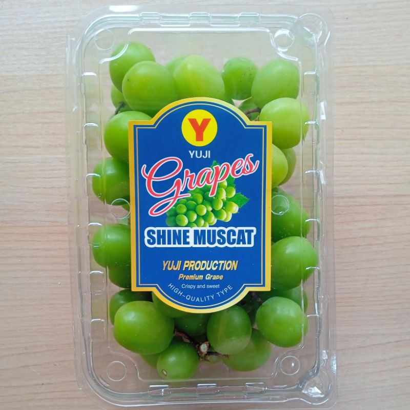 Jual Anggur Shine Muscat RRC 500gr / Manis Tanpa Biji | Shopee Indonesia