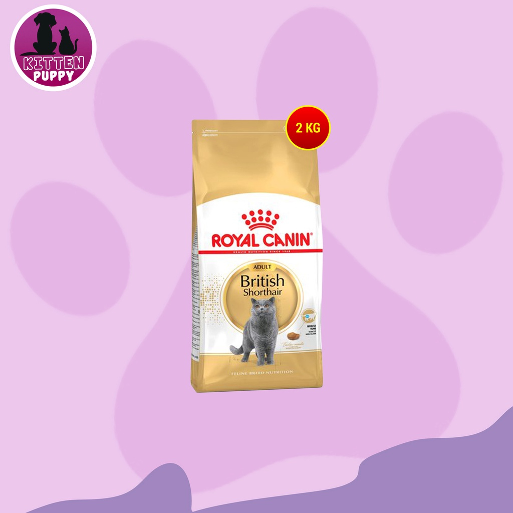Jual Royal Canin British Shorthair Adult 2 Kg | Shopee Indonesia