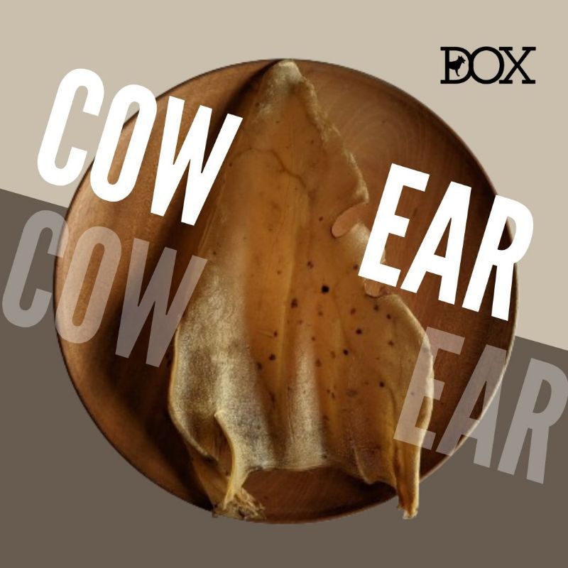 Jual DOX! Kuping Sapi Bulu Kering -Dehydrated Cow Ear with Fur - Dental ...