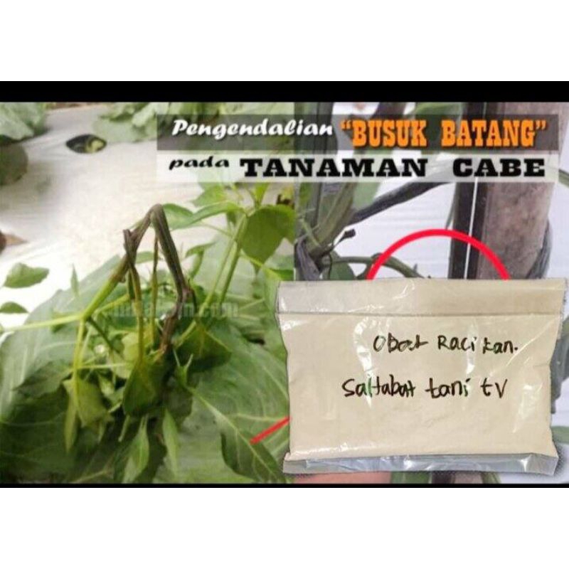 Jual Racikan Sahabattani 500 gr, racikan fungisida membasmi jamur dan ...
