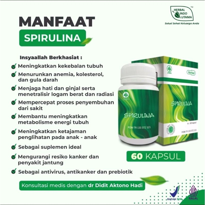 Jual Kapsul Spirulina Herbal Obat Anemia Kurang Darah HB Rendah Lemas ...