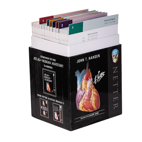 Jual Flash Cards - Kartu Edukasi Kedokteran Netter's Anatomy Netter ...