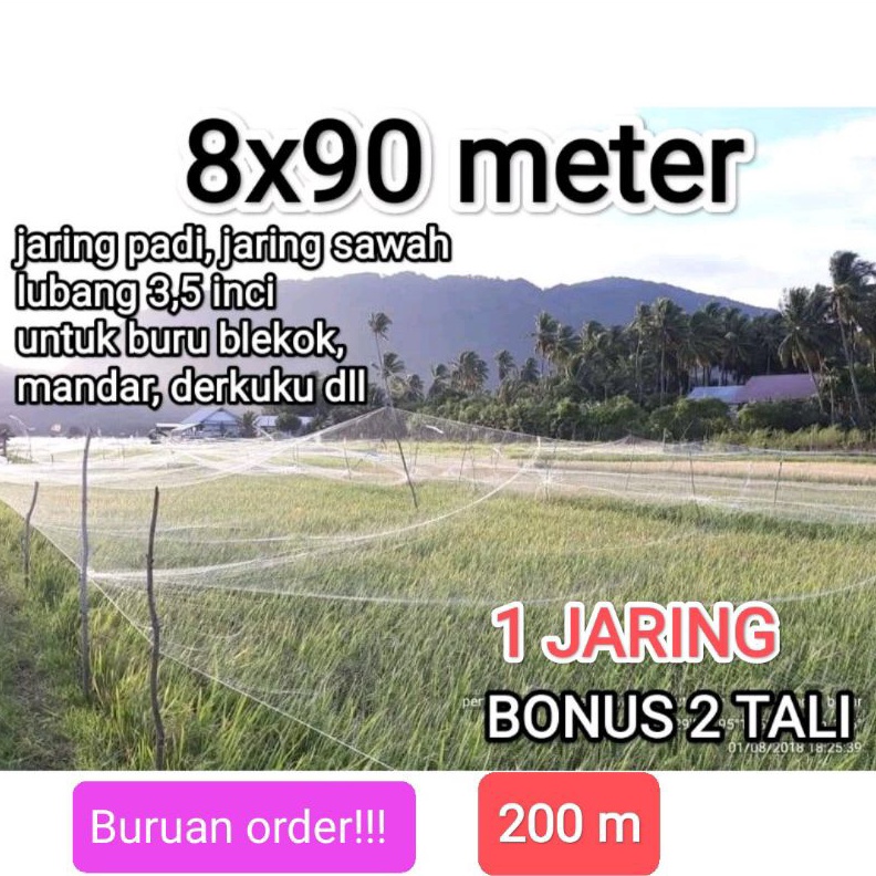 Jual Jaring burung padi sawah 8x9m jaring burung perkutut jaring ...