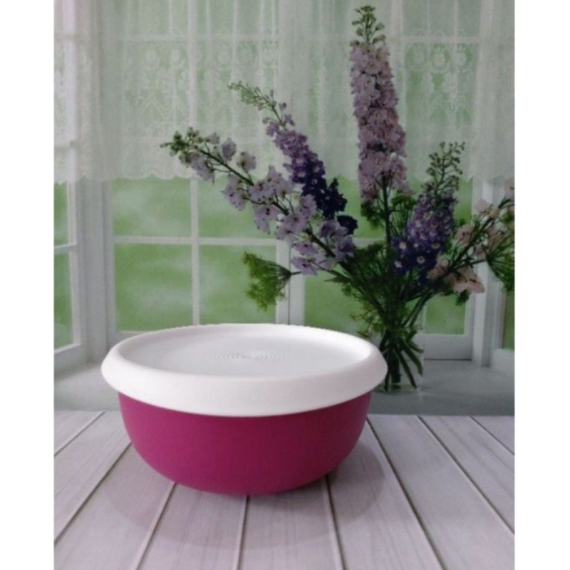 Jual Tupperware Original Radish Bowl 550ml | Shopee Indonesia