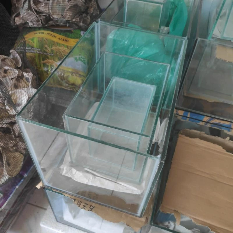 Toko Aquarium Blitar