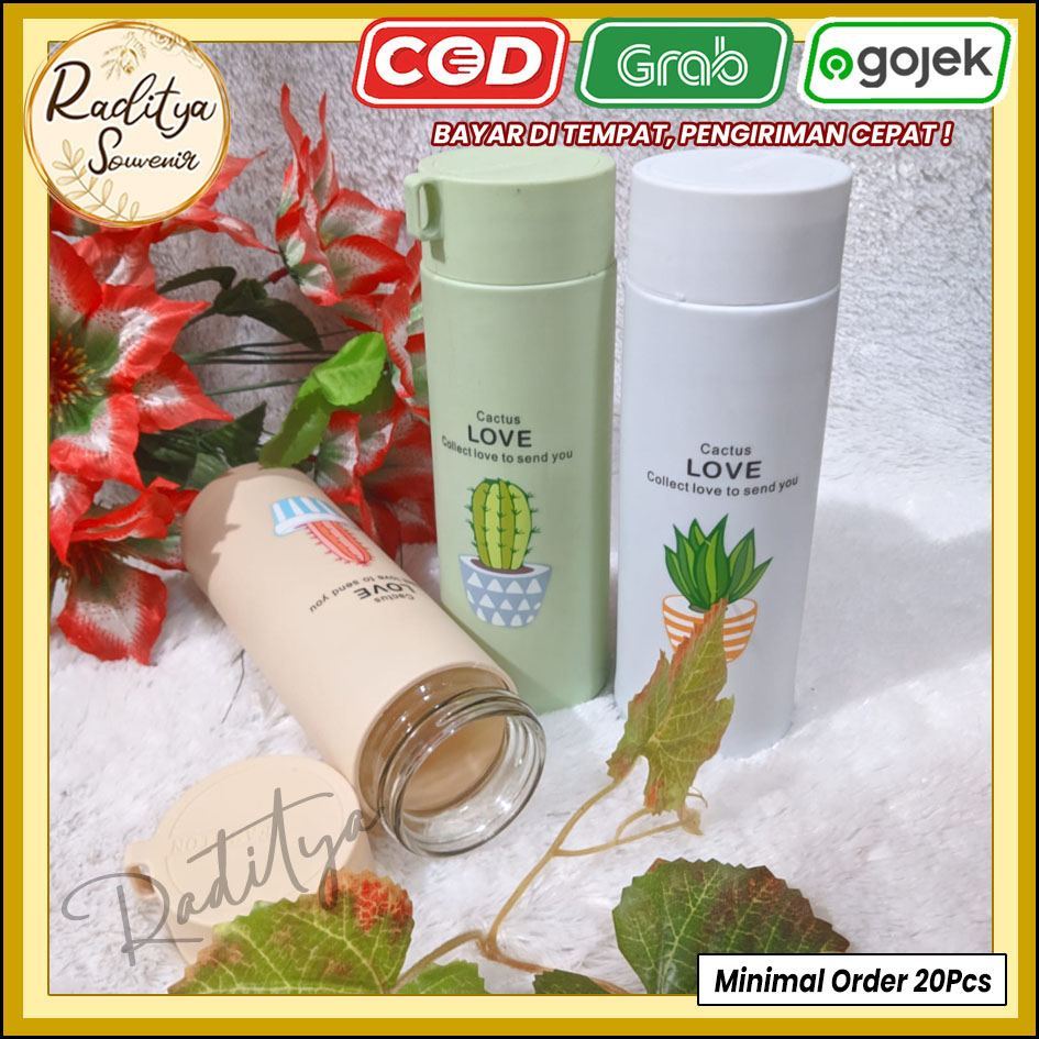 Jual Grosir Souvenir Botol Kaktus Minimal Pcs Kemas Box Atau Tile Sovenir Suvenir Pernikahan