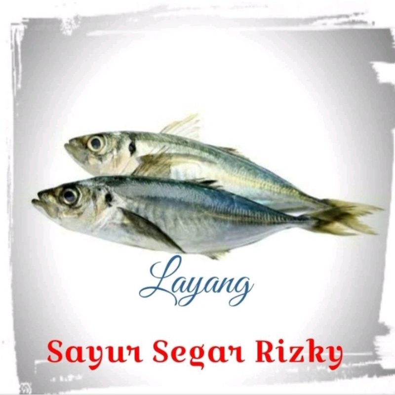 Jual Ikan Layang Segar 500gr | Shopee Indonesia