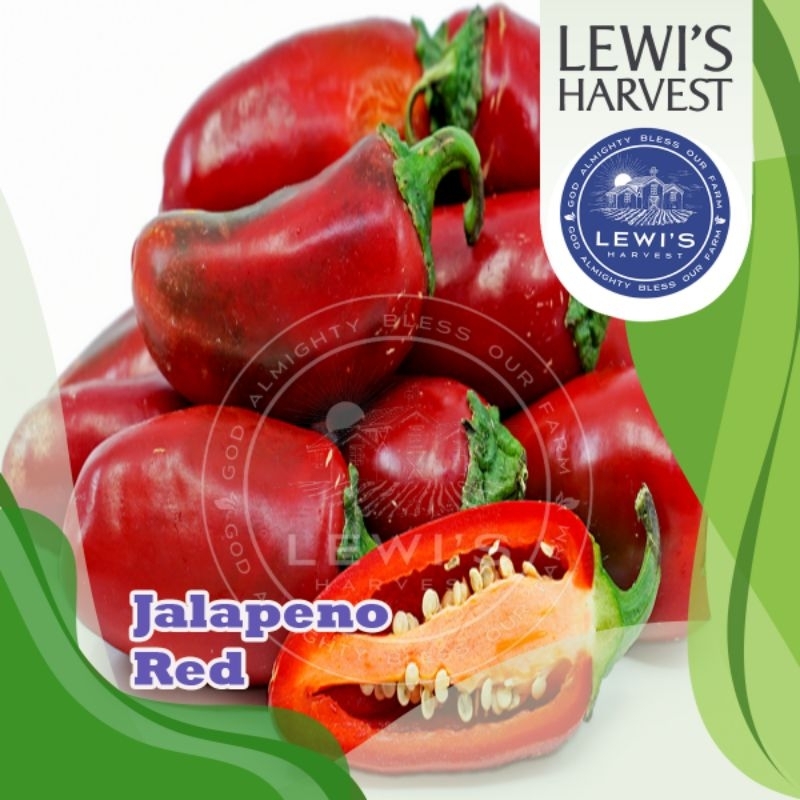 Jual CABE JALAPENO RED 100 gram | Shopee Indonesia