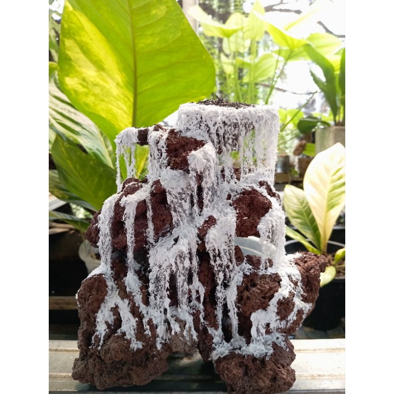 Jual TEBING AIR TERJUN utk (aquascape/paludarium) | Shopee Indonesia