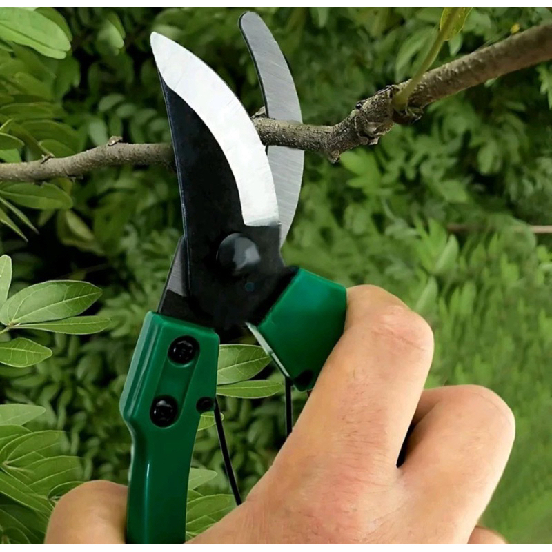 Jual Gunting Dahan/Gunting Kebun/Gunting Ranting/Gunting Tanaman Trendi ...