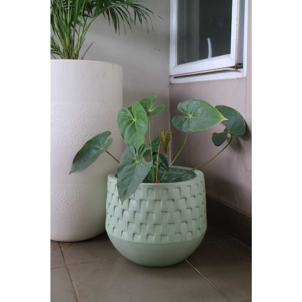 Jual Pot Terakota Minimalis Estetik D25T25 Anyam | Shopee Indonesia