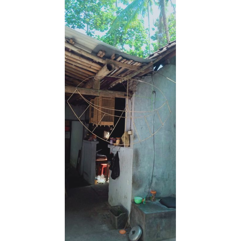 Jual kerangka layangan pegon ceper ukuran sayap mentah 163 cm(rakit