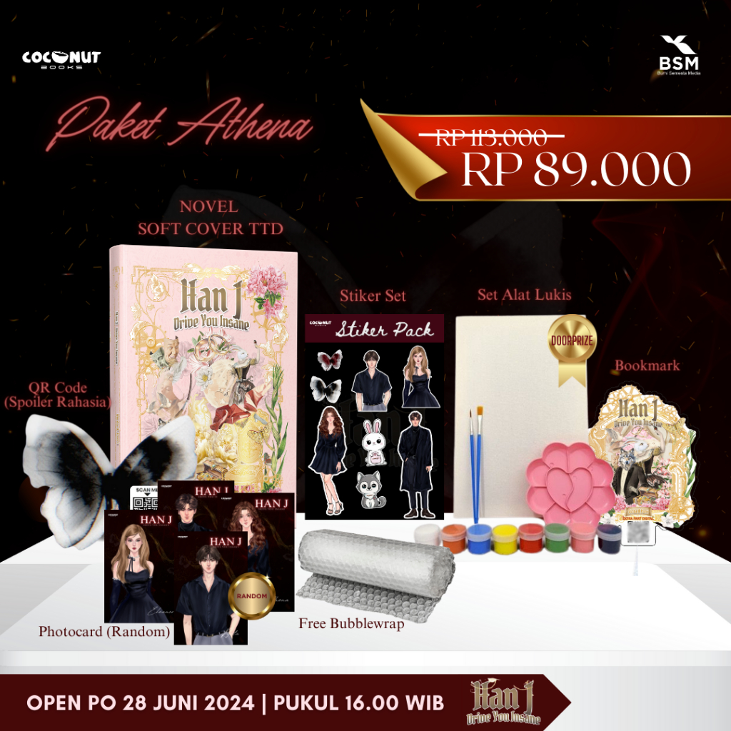 Jual Novel Han J; Drive You Insane + Virda A. Putri Coconut books ...