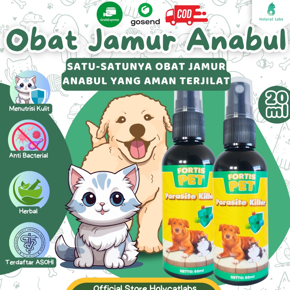 Jual KODE Y62H Holycatlabs Obat Jamur Fortis Spray Scabies Kudis Koreng ...